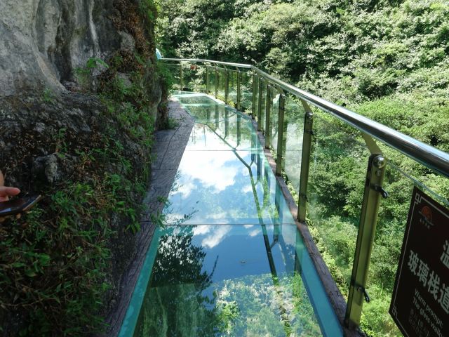 洒金公园旅行图片 7