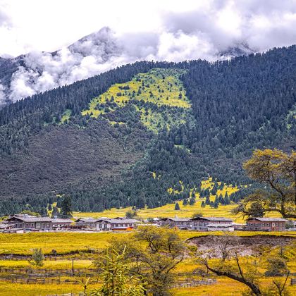 拉萨+林芝+大峡谷+日喀则+纳木措+羊卓雍措11日8晚跟团游