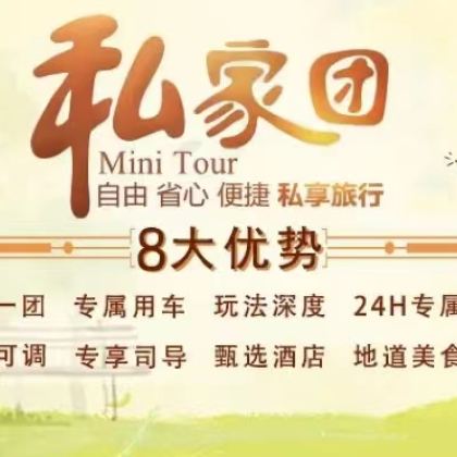 中国上海迪士尼度假区+上海野生动物园+东方明珠+外滩观光隧道+上海博物馆5日4晚私家团