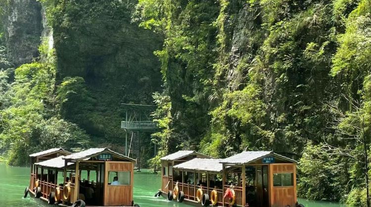 5D4N · Private Tours · Beat the summer heat in Zhangjiajie's cool forests. Enjoy private guided tours, water activities, and flexible vehicle upgrades for your group.