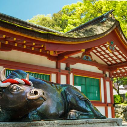 日本九州+福冈5日4晚私家团