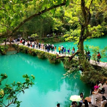 贵州贵阳+黄果树+梵净山+西江千户苗寨+荔波+镇远古城+遵义7日6晚私家团