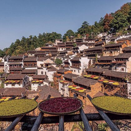 江西南昌+三清山风景区+望仙谷+婺源+景德镇+庐山风景名胜区5日4晚跟团游