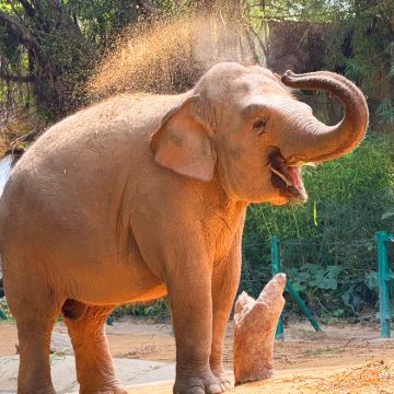 广州长隆+珠海长隆4日3晚跟团游