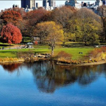 纽约+费城+华盛顿+帝国大厦+自由女神像+中央公园+美国白宫9日8晚私家团