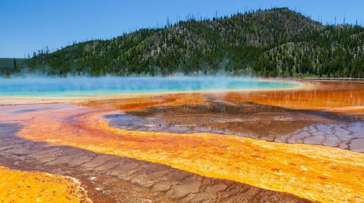 5-Day Yellowstone National Park Small Group Tour from Salt Lake City · Jackson, Grand Teton, Yellowstone Bear World and Temple Square