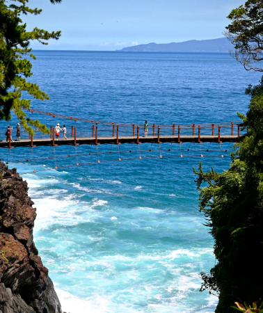 10D9N • Japan Osaka, Kyoto, Tokyo, Mt. Fuji & Izu Pure Small Group Tour with Shinkansen