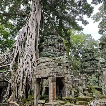 柬埔寨金边+暹粒6日5晚自由行