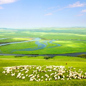 呼伦贝尔+额尔古纳+满洲里7日6晚拼小团