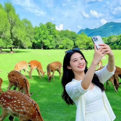 伊春6日5晚私家团