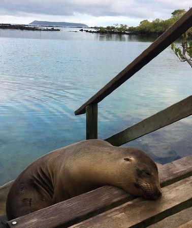 5D4N • 5 Day Galapagos Island Hopping Tour: Los Tuneles and Isabela