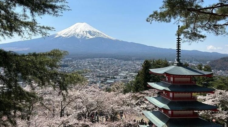 2D1N · Group Tours · Mt Fuji and Izu Deep View 2 Day Tour from Tokyo