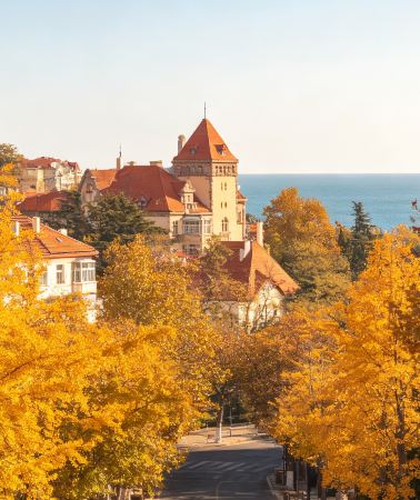 5D4N • Qingdao + Laoshan Mountain + Badaguan + Guangxingli + Former Governor's Residence: Private tour upgrade for 4 with complimentary tea tasting & seagull feeding