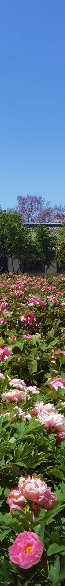 戚继光故里-烟台