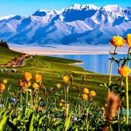 新疆伊犁+那拉提旅游风景区+赛里木湖2日1晚跟团游