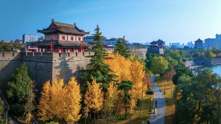 5-day 4-night · Private Tour · Xi'an City Wall + Emperor Qinshihuang's Mausoleum Site Museum + Huaqing Palace + Xi'an Museum + The Longest Day in Chang'an Theme Block