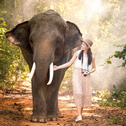 斯里兰卡6日5晚跟团游