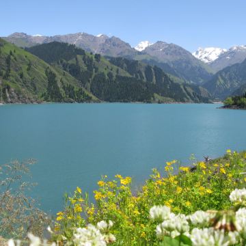 新疆乌鲁木齐+天山天池+吐鲁番+鄯善+库木塔格沙漠2日1晚私家团