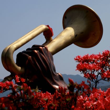 南昌+庐山+景德镇+婺源+井冈山7日6晚跟团游