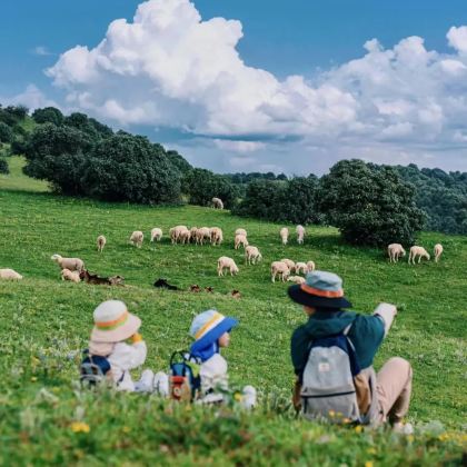 木兰围场+塞罕坝国家森林公园+乌兰布统旅游区+坝上3日2晚私家团
