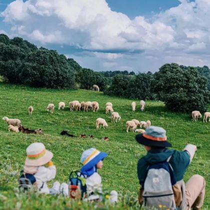 赤峰+坝上+乌兰布统旅游区3日2晚拼小团