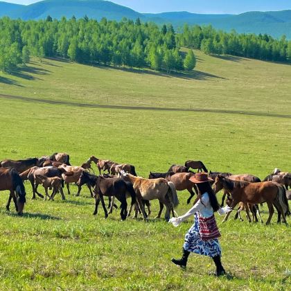 沈阳+丹东+长白山+镜泊湖风景区+哈尔滨+齐齐哈尔+海拉尔+呼伦贝尔+满洲里+漠河+黑河+五大连池风景区14日13晚跟团游