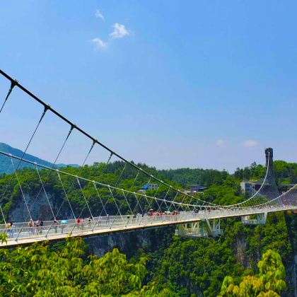 张家界+天门山+湘西+凤凰古城3日2晚跟团游