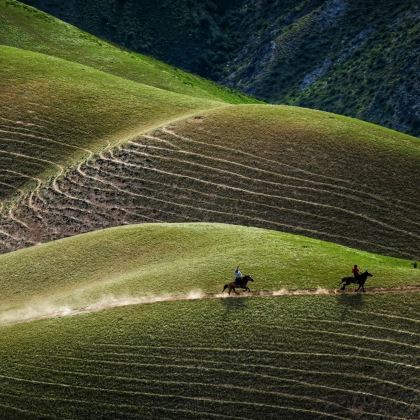 新疆北疆+喀纳斯景区+禾木风景区5日4晚跟团游