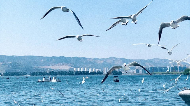 10-day 9-night · Private Tour · Kunming + Dali + Lijiang + Shangri-La· Dali, Shangri-La, Lijiang, Dukezong, Yulong Snow Mountain, Songzanlin Monastery, Tiger Leaping Gorge