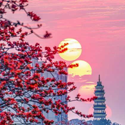 广州+珠海+深圳+惠州+佛山5日4晚跟团游