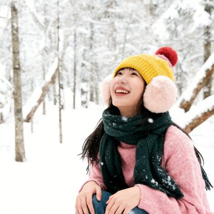 沈阳+长白山+延吉+哈尔滨7日6晚私家团