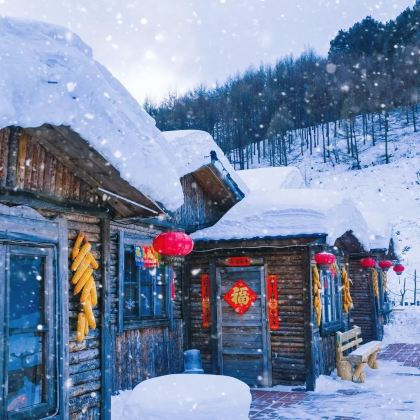 呼伦贝尔+阿尔山5日4晚自由行