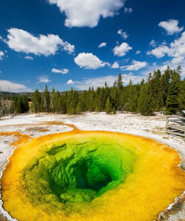4D3N • Wildlife Exploration Tour | Departing from Salt Lake City, USA—Yellowstone National Park & ​​Grand Teton National Park