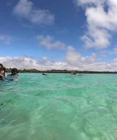 2D1N • 2 Days - Isabela Island Fast Visit