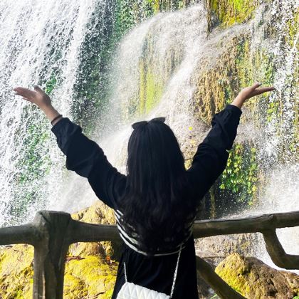 广西崇左+德天瀑布+通灵大峡谷+明仕田园+白头叶猴生态旅游区2日1晚拼小团