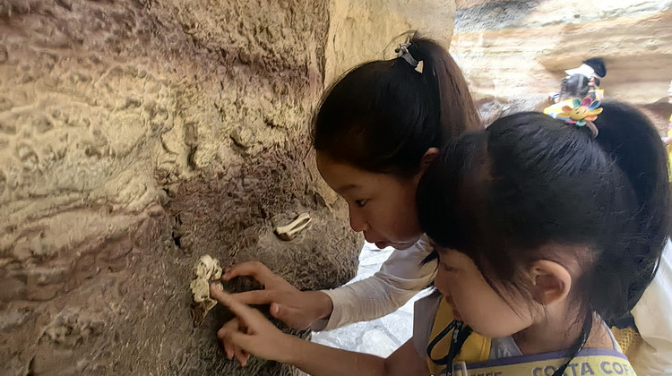 博物馆讲解·国家自然博物馆1日独立营【6-13岁儿童专享，含门票午餐】【小朋友的自然博物馆初体验｜真儿童视角研学】·博物馆讲解·国家自然博物馆1日独立营【6-13岁儿童专享，含门票午餐】【小朋友的自然博物馆初体验｜真儿童视角研学】