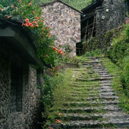 丽水云和梯田景区+缙云仙都景区+古堰画乡旅游度假区+松阳老街+陈家铺村+杨家堂村+松庄村5日私家团