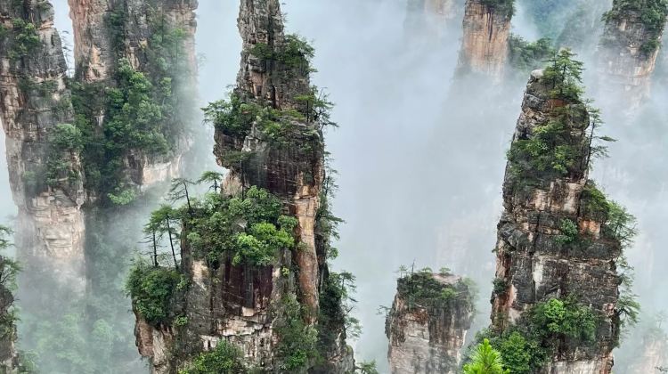 6D5N · Private Tours · Western Hunan All-Star Tour   Zhangjiajie Forest Park + Grand Canyon Glass Bridge + Tianmen Mountain + Furong Town + Fenghuang Ancient Town - A Cool Summer Getaway