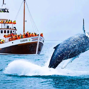冰岛雷克雅未克+斯奈山半岛+冰岛黄金圈+蓝湖7日6晚私家团