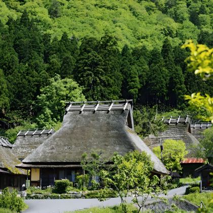 日本大阪+京都8日7晚跟团游