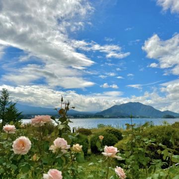 箱根+伊豆+富士山4日3晚私家团