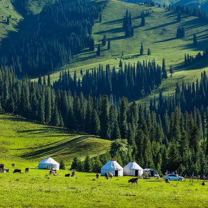 新疆乌鲁木齐+伊犁+赛里木湖+那拉提旅游风景区7日6晚跟团游