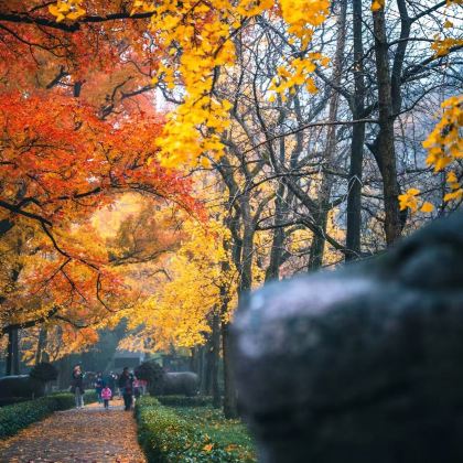 上海+乌镇+南浔古镇+杭州+苏州+无锡+扬州+南京12日11晚私家团