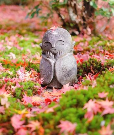 7D6N • Japan - Tokyo - Osaka - Mount Fuji - Kyoto - Nara - Oshino - 7-day 6-night small group tour