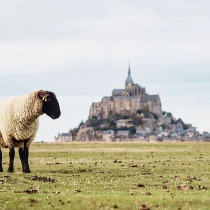 法国5日4晚私家团
