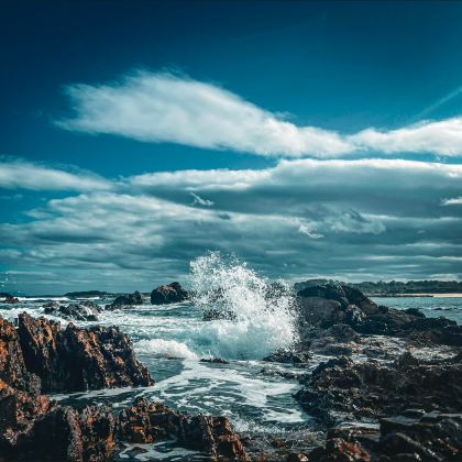 澳大利亚墨尔本+悉尼+Raymond Island+伊登+Seal Rocks+巴特曼斯湾+杰维斯湾观鲸游船+蓝色海洋路+凯阿马喷水孔+卧龙岗防波堤灯塔8日6晚私家团