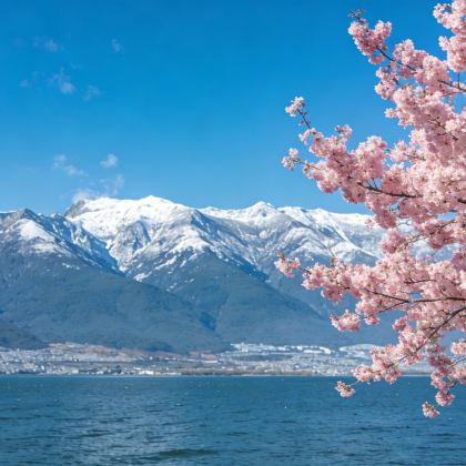 云南昆明+腾冲+瑞丽+芒市+大理市+无量山8日7晚拼小团