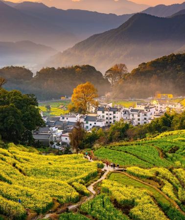 7D6N • Nanchang + Wangxian Valley + Sanqingshan Mount Scenic Area + Wuyuan Huangling Scenic Area + Jingdezhen + Lushan National Park