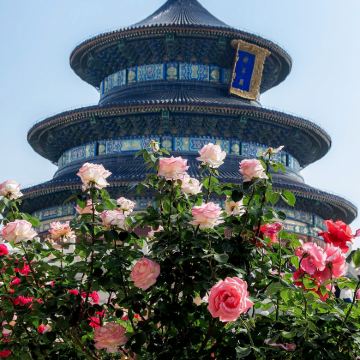 北京5日4晚私家团