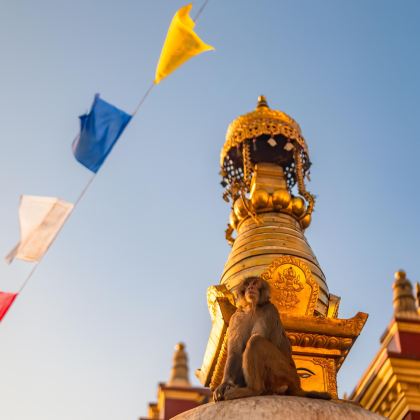 尼泊尔加德满都4日3晚私家团